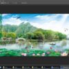 File tranh Hồ sen đua nở 140 - file gốc tranh phong cảnh