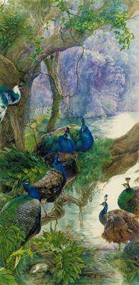 Đàn Chim Công Trong Rừng 458 – File gốc Tranh Phong Cảnh