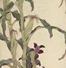 File tranh Chim Cu Gáy Dưới Cây Ngô 550 - File gốc Tranh Hoa Cỏ