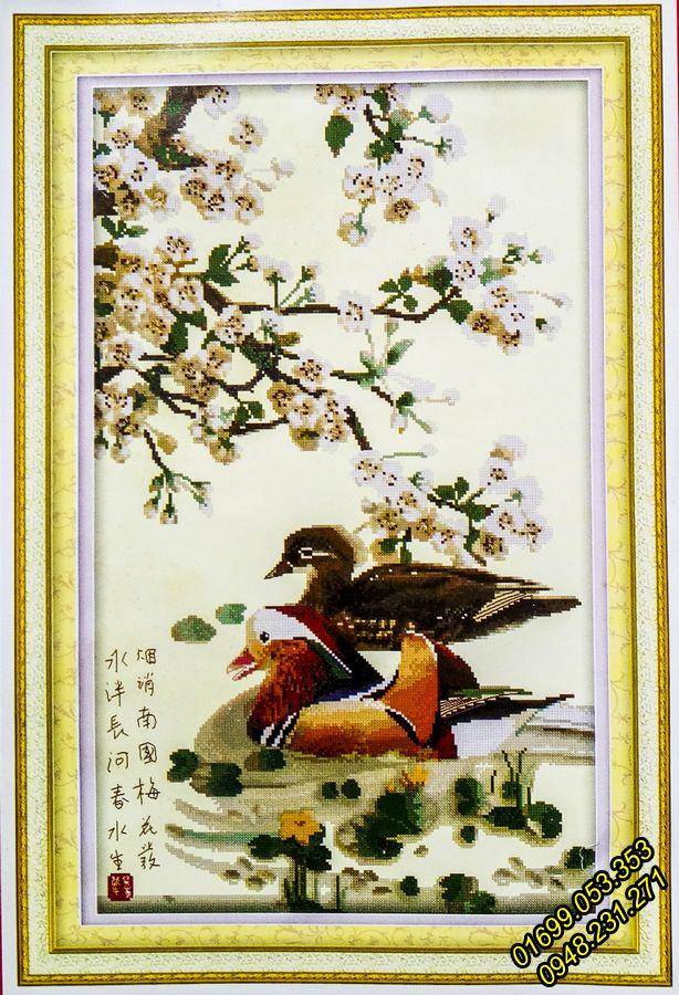 Mùa chim di trú trên đầm Vân Long, Ninh Bình - ThienNhien.Net | Con người  và Thiên nhiên