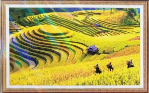 Tranh thêu chữ thập Ruộng Bậc Thang MN0140 – Phong Cảnh Tây Bắc